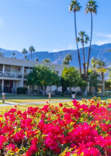 467 Desert Lakes Dr, Palm Springs, CA 92264-5511