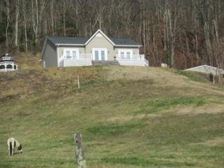 1465 Fodderstack Mountain Loop, Greeneville, TN 37745-2631