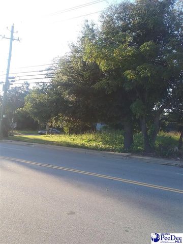 523 Madison Ave, Kingstree, SC 29556-3620