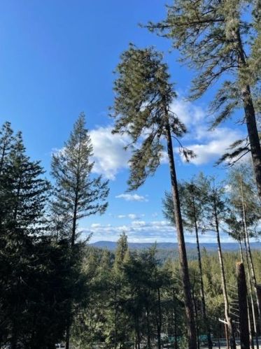 280 Alpine Dr, Cape Horn, CA 95713-9421