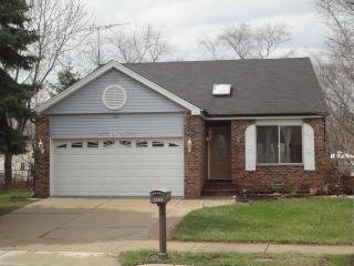 1925 Lisson Rd, Naperville IL  60565-2940 exterior