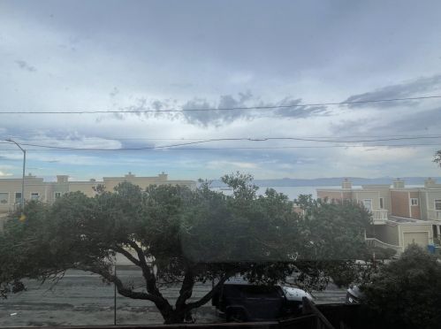 142 Albatross Ct, San Francisco CA  94124-2939 exterior