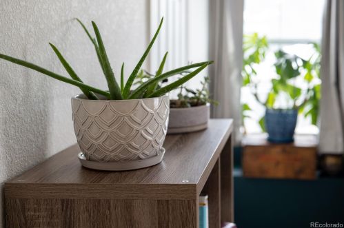 4568 Quemoy St, Aurora CO  80019-6025 exterior