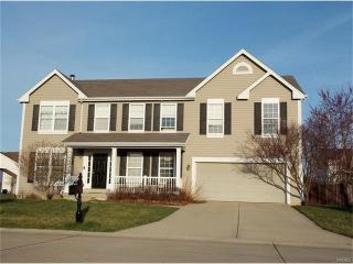 867 Calista Ridge Dr, Belleville, IL 62221-8303