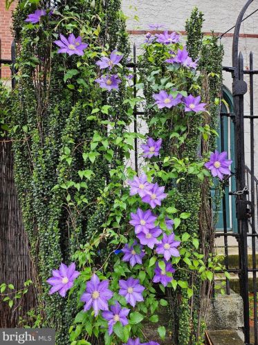 131 20th St, Philadelphia, PA 19103-1416