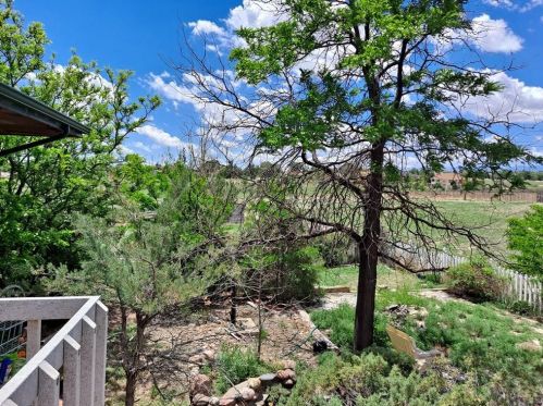 596 Hahns Peak Ave, Pueblo, CO 81007-2897