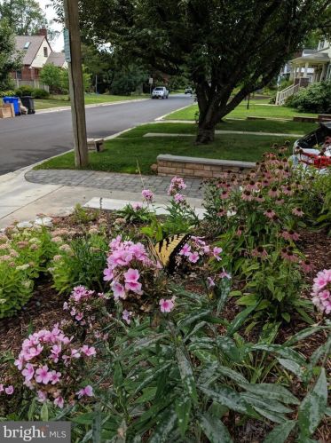 10006 Markham St, Silver Spring MD 20901-2233 exterior