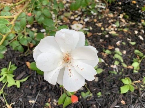 5595 Via Escalante, Riverside CA  92509-5563 exterior