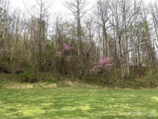 2185 Purchase Ridge Rd, Clinchport, VA 24244-3709