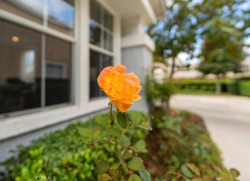 2190 Cherrywood Ln, Anaheim CA  92804-2490 exterior
