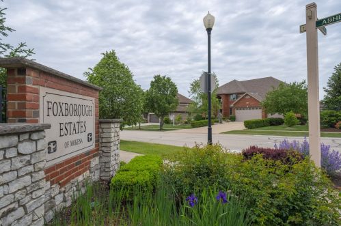 12002 Ashbrook Ln, Mokena, IL 60448-8159