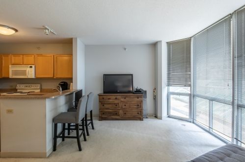 222 Columbus Dr, Chicago, IL 60603-6402