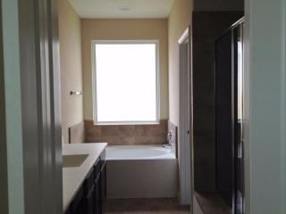 3303 Rosemary Trace Dr, Spring TX  77386-4009 exterior