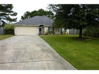18 Chamois Ct, Savannah, GA 31322-9406