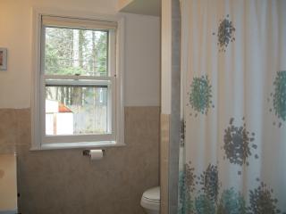 1315 Webster St, Naperville IL  60563-2650 exterior