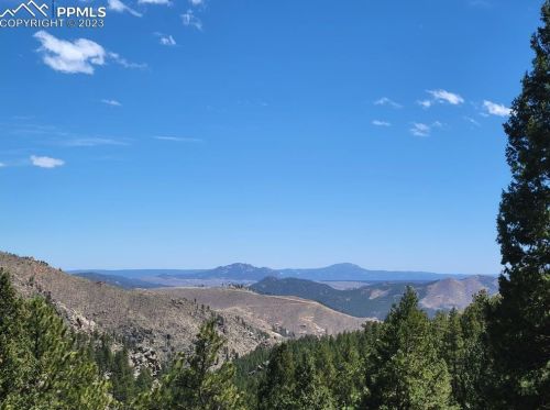 33348 Persistence Ave, Pine, CO 80470-9129