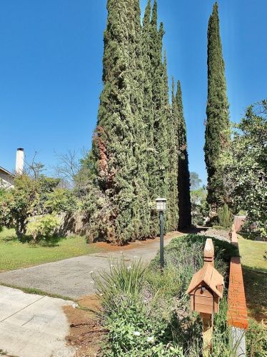 11261 Berry St, Riverside, CA 92503-5801