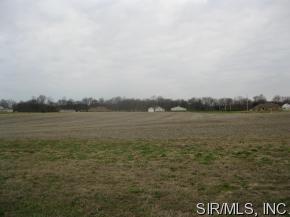 8674 Saint Leos Rd, Redbud, IL 62278-2638