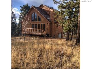 163 Lost Lake Dr, Divide, CO 80814-9714