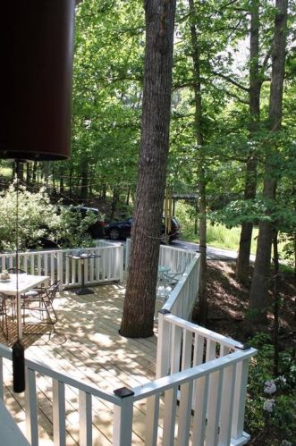 160 Dickerson Rd, Dahlonega, GA 30533-4716