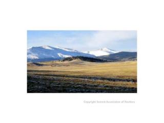 43521 Highway 9, Fairplay, CO 80440