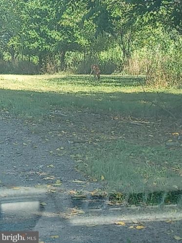 331 Mcallister Church Rd, Carlisle, PA 17015-9577