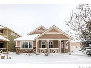 11400 Night Heron Dr, Parker CO  80134-4309 exterior