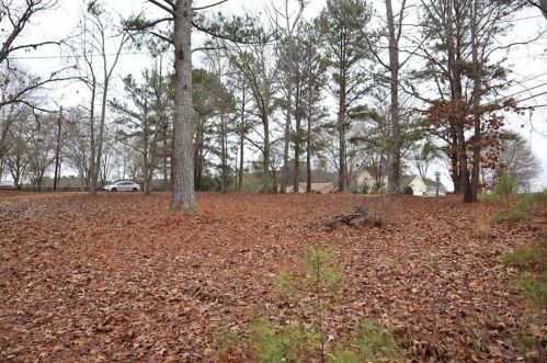 427 Mccullough Rd, Stockbridge GA  30281-4907 exterior