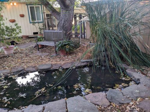 2096 Hoover Ave, Concord CA  94523-4645 exterior