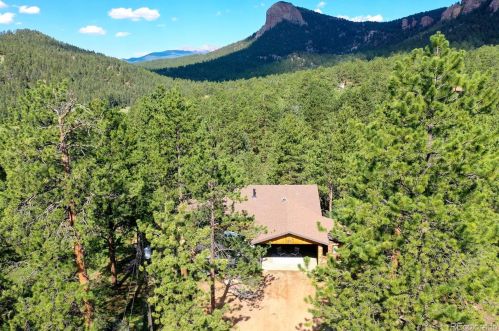 11815 Stallion Dr, Pine, CO 80470-9710