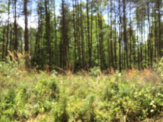 73 Dodson Rd, Oaklevel, VA 24055-3627