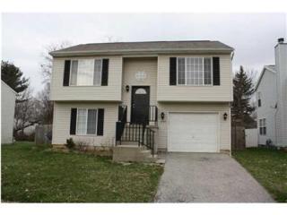 2783 Raphael Dr, Columbus, OH 43232-7702