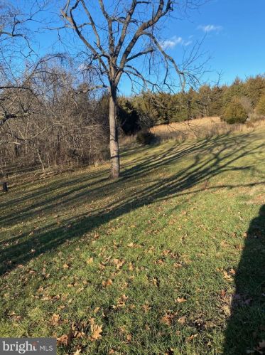 2211 Koontztown Rd, Falling Waters, WV 25419-3908
