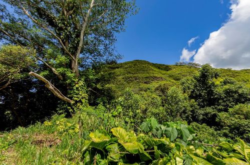 2550 Waiomao Rd, Honolulu HI 96816-3455 exterior