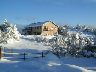 519 Palmer Rd, Cotopaxi, CO 81223-8646