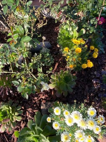 1020 Hickory St, Santa Ana CA  92701-6004 exterior