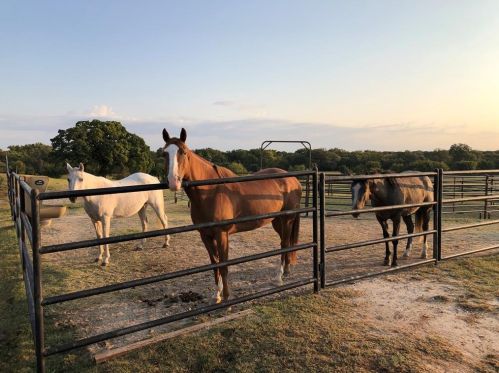 167 Boyce Ln, Fort Worth, TX 76108-9653