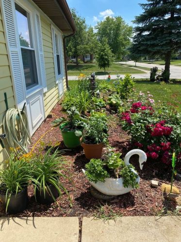 324 Lakeside Dr, Lemont IL  60440-2580 exterior