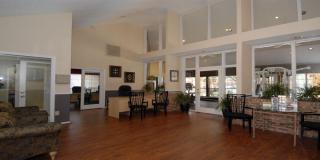 4220 Esters Rd, Irving TX  75038-4793 exterior