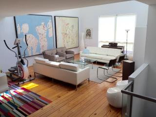 827 Saulnier St, Houston TX  77019-4727 exterior