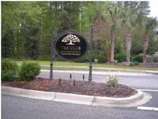 297 Silver Cypress Cir, Summerville, SC 29485-6287