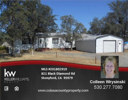 821 Black Diamond Rd, Sites, CA 95979-9619