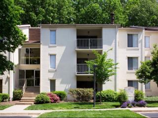 12065 Greywing Sq, Herndon VA  20191-1815 exterior