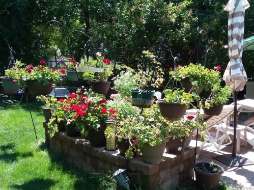 180 Estes St, Denver CO  80215-1791 exterior