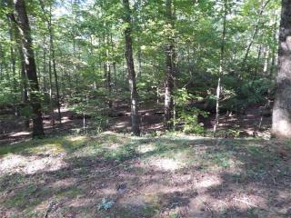 927 Sleepy Hollow Cir, Big Canoe, GA 30143