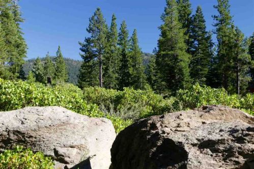 8601 Lloyd Tevis Dr, Truckee, CA 96161-5155