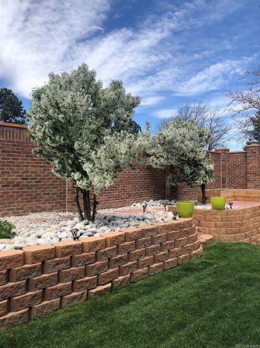 12153 Harvard Dr, Aurora CO 80014-1947 exterior