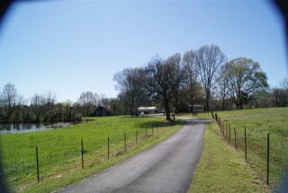 7807 Mt Carmel Rd, Covington, TN 38019-7648