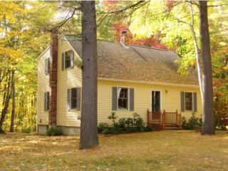 85 Hills Rd, Auburn, NH 03032-3943