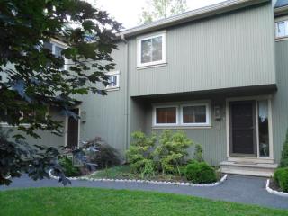 10 South Mdws, Woodbury, CT 06798-3223